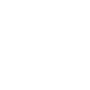 diamond icon